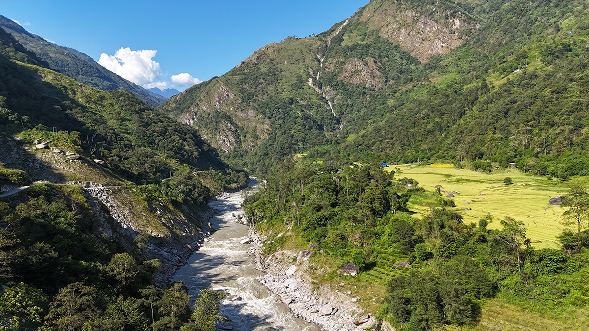 माथिल्लो अरुण आयोजना निर्माणका लागि दुई हजारभन्दा बढी रुख कटिए